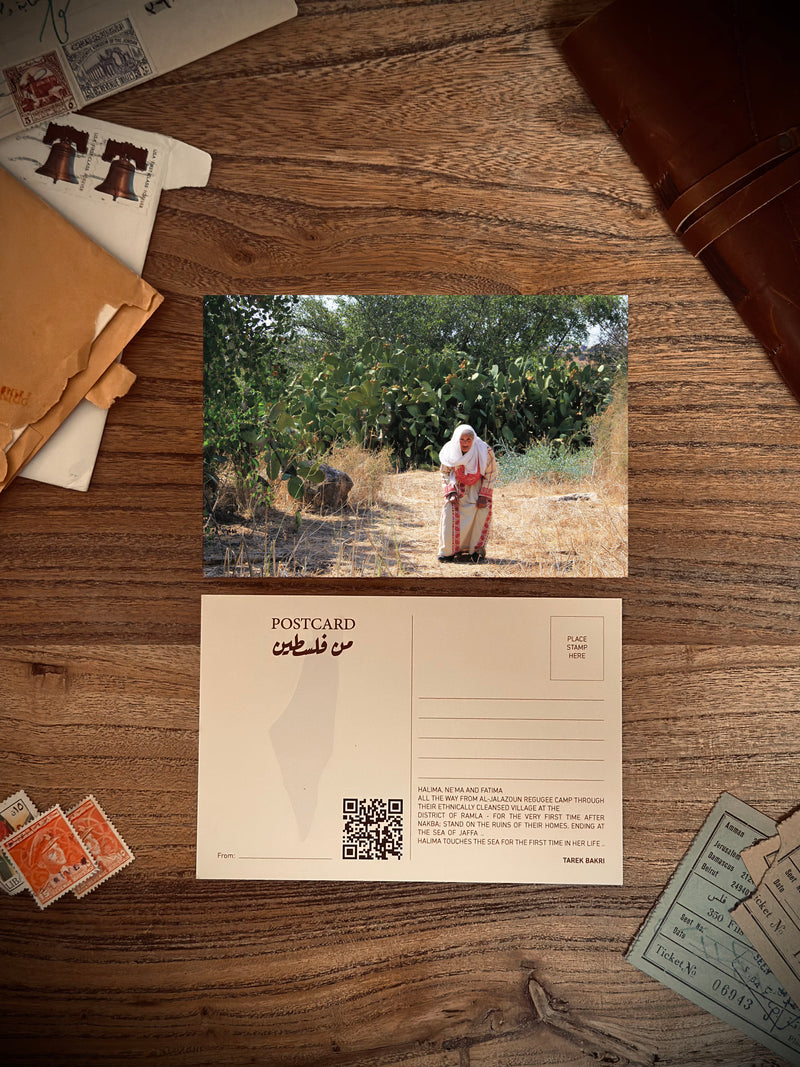 Hamila and the Sea Postcard 3
